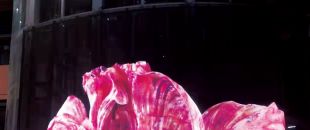 led屏為什么會流行起來？都有什么特點？